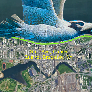 Seagull-and-Surf-Ave