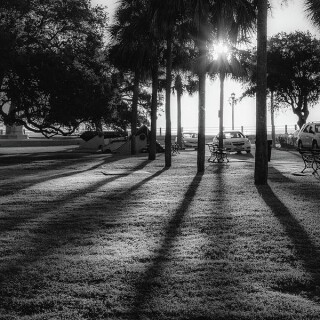 white-point-garden-morning-light-donnie-whitaker-4290951841