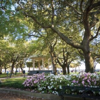 white-point-gardens-charleston-2116406151