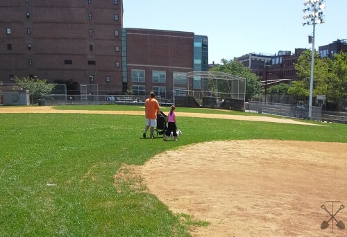 Family-With-Dog-on-Field.jpg