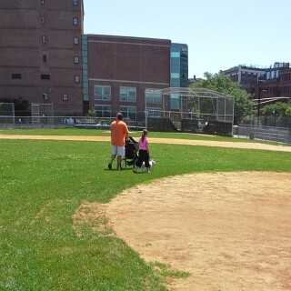 Family-With-Dog-on-Field