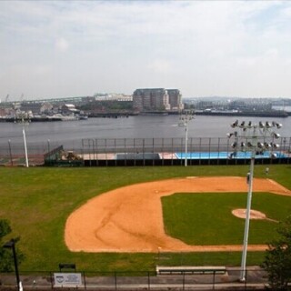 Langone-Park-Ball-Fields