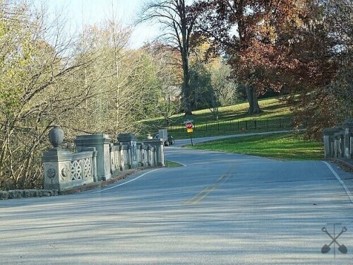 along-loop-road.jpg
