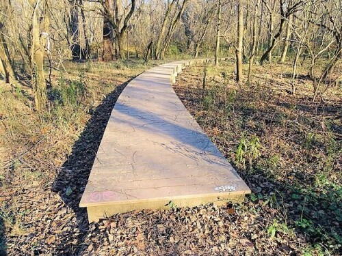 bird-sanctuary-boardwalk.jpg