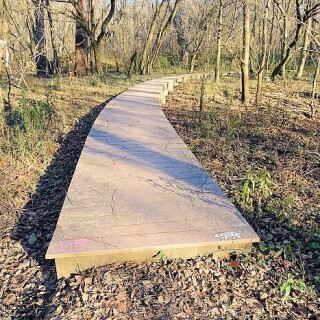 bird-sanctuary-boardwalk