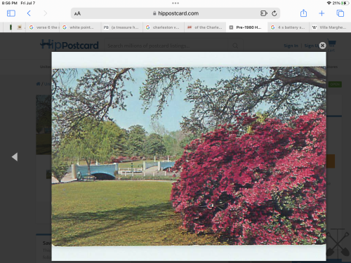 IMG_0330.png