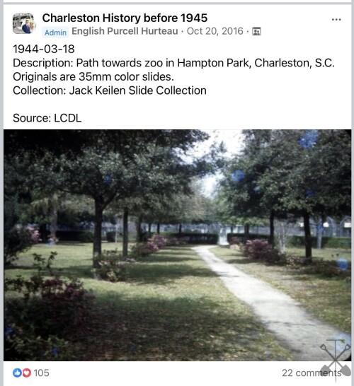 IMG_1187.jpeg