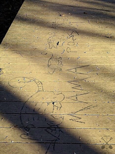 drawings-on-bird-sanctuary.jpg