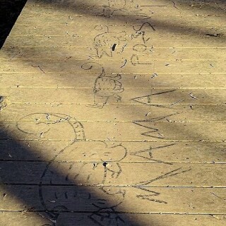 drawings-on-bird-sanctuary