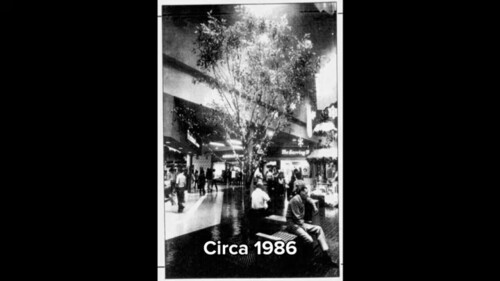 1980s.jpg