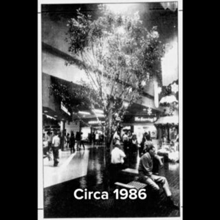 1980s