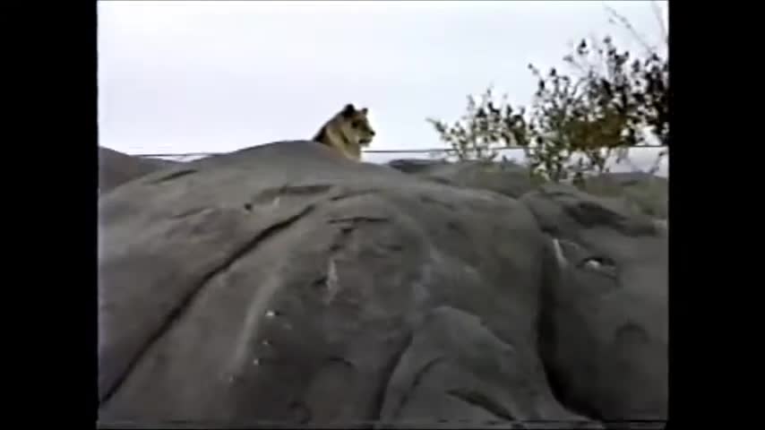 s2011.e021101----Houston-Zoo-pt-.mp4