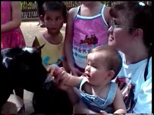 s2013.e062101 At the Houston Zoo with my kids １９９９