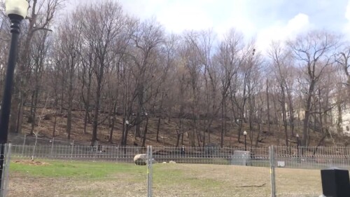 s2014.e051001---Percy-Walters-Park---Montreal-Quebec.mp4