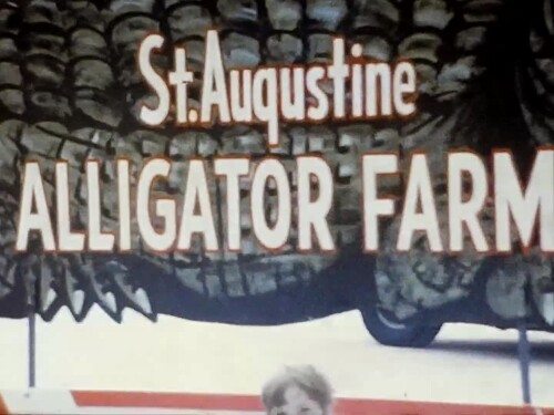 s2020.e061201---Florida-Trip-.mp4