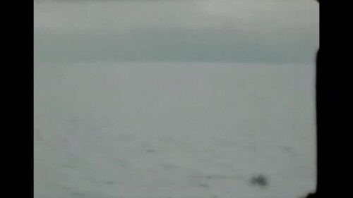 s2022.e022501----Family-Vacation---Luray-Caverns-Va-Ocracoke-NC-Jockey-Ridge-Telecine.mp4