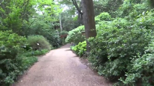 s2022.e041402---Elizabethan-Gardens-part-.mp4